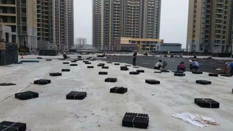 屋頂花台妖精视频WWW网站入口哪個好?